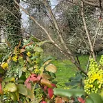 Bed & Breakfast Acero Giallo