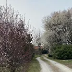 Bed and breakfast Acero Giallo