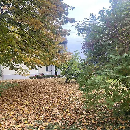 Acero Giallo Oda ve Kahvaltı 3*