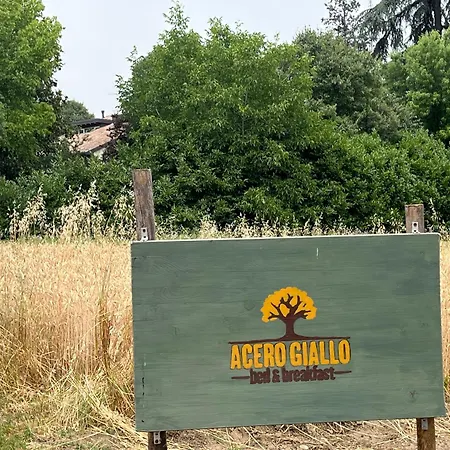 Acero Giallo Oda ve Kahvaltı 3*
