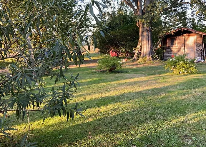 Acero Giallo Oda ve Kahvaltı 3*