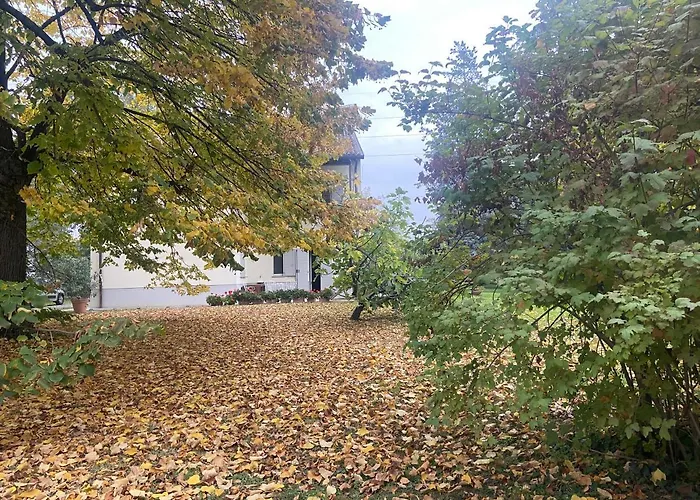 Acero Giallo Oda ve Kahvaltı 3*