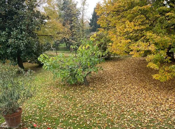 Oda ve Kahvaltı Acero Giallo Parma