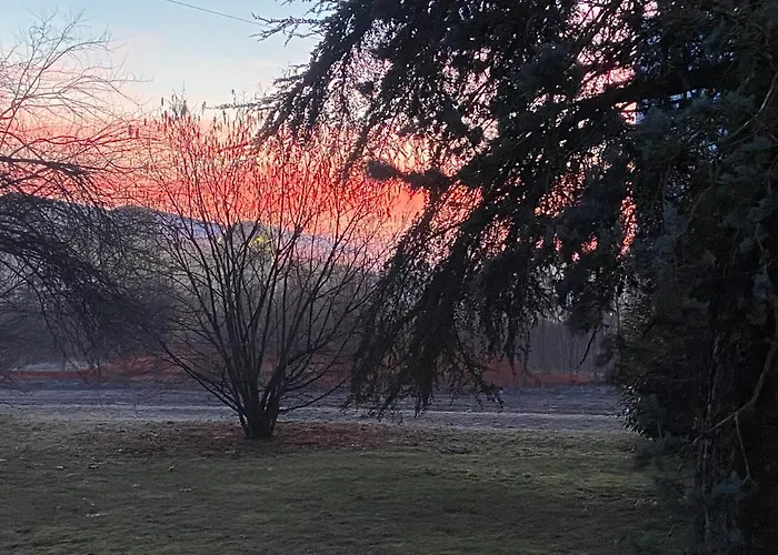 Acero Giallo Oda ve Kahvaltı Parma