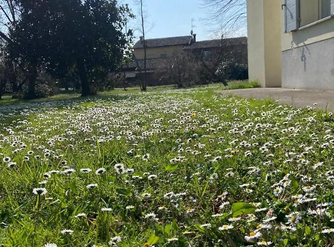 Acero Giallo Oda ve Kahvaltı