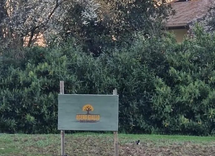 Oda ve Kahvaltı Acero Giallo Parma