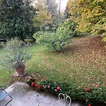 Acero Giallo 3* Parma