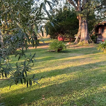 Acero Giallo Bed and Breakfast 3*