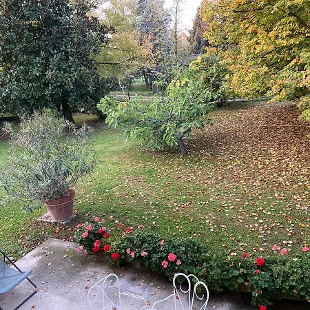 Acero Giallo 3* Parma