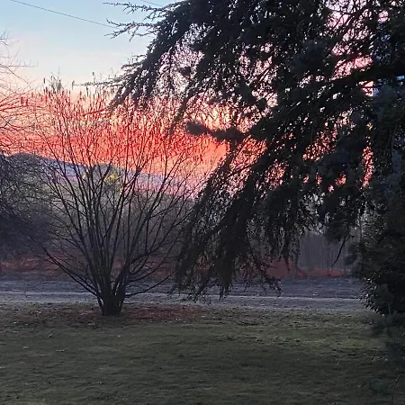 Acero Giallo Bed & Breakfast Parma