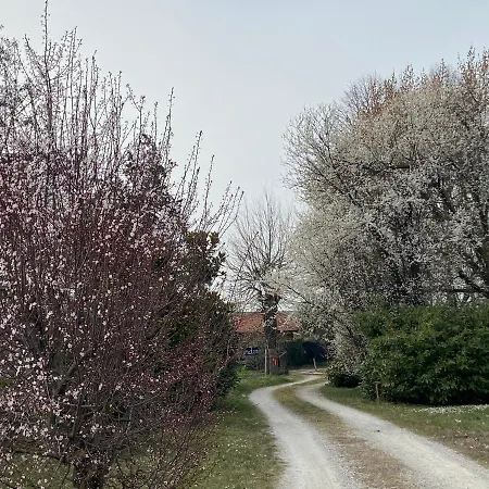 Bed & Breakfast Acero Giallo