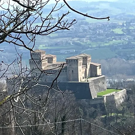 Acero Giallo
