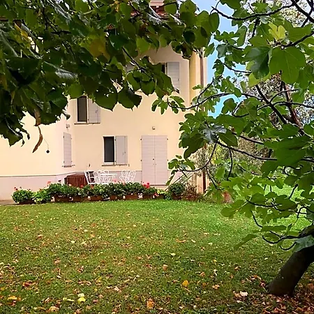 Acero Giallo פארמה