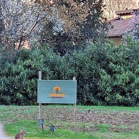 Acero Giallo 3* פארמה