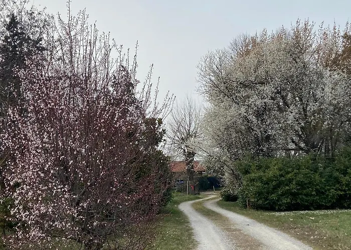 فندق مبيت وإفطار Acero Giallo