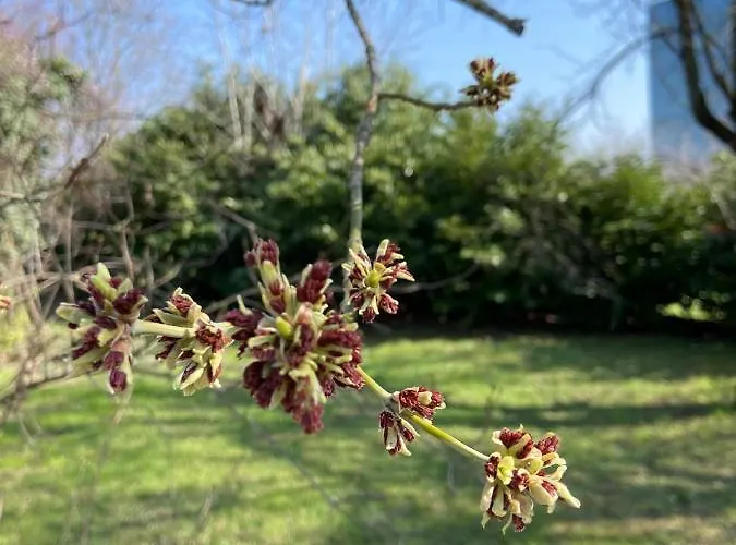 فندق مبيت وإفطار Acero Giallo 3*