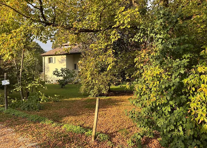 Acero Giallo بارما